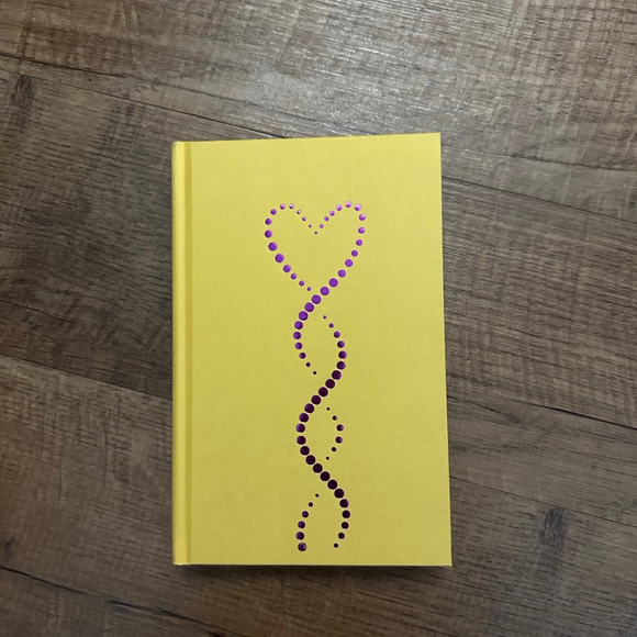 Afterlight the soulmate equation - Picture 3 of 5